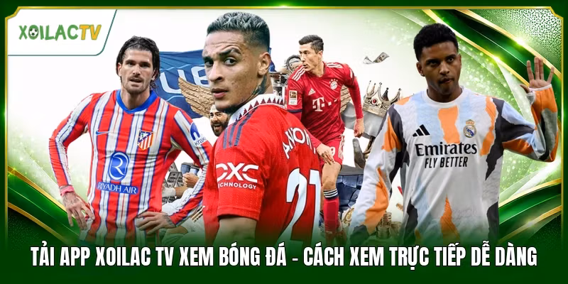 Tải App Xoilac Tv Xem Bóng Đá - Cách Xem Trực Tiếp Dễ Dàng