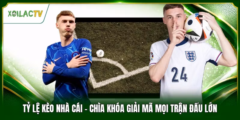 Tỷ Lệ Kèo Nhà Cái - Chìa Khóa Giải Mã Mọi Trận Đấu Lớn